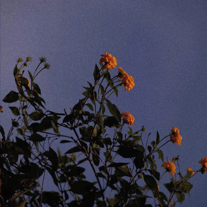 国产成人午夜毛片在线
